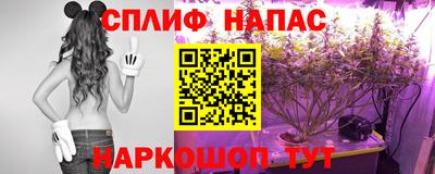 альфа пвп Заводоуковск