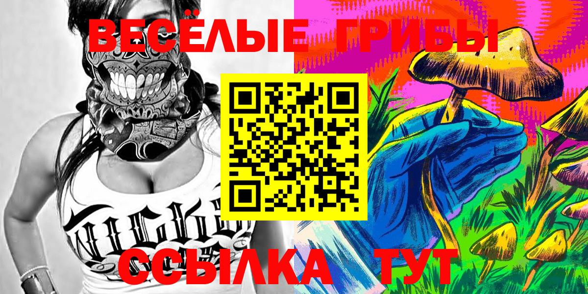 Галлюциногенные грибы мицелий  Вход с VPN  Кунгур 